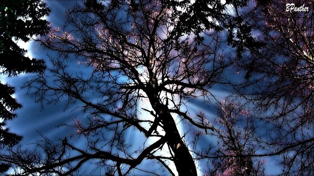 Rossini - Ranz des Vaches (Wilhelm Tell, William Tell) Gioachino Antonio Rossini