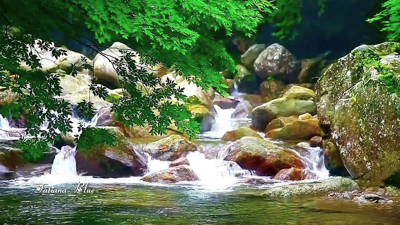 André Rieu - Nightingale Serenade (Toselli Serenade)