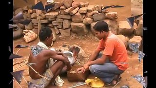 Technique of oil extraction from Simarouba seeds Odia PRAGATI Odisha