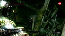 (México   Xbox 360) Dark Souls (Campaña) Parte 48