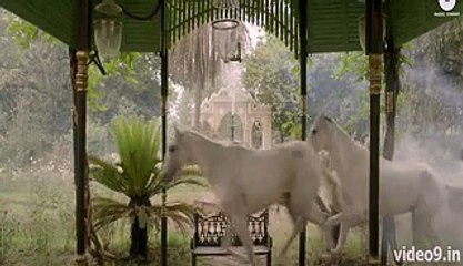 Sufiye Ba Safa Manam - Official