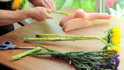 Household Uses For S*x Toys.