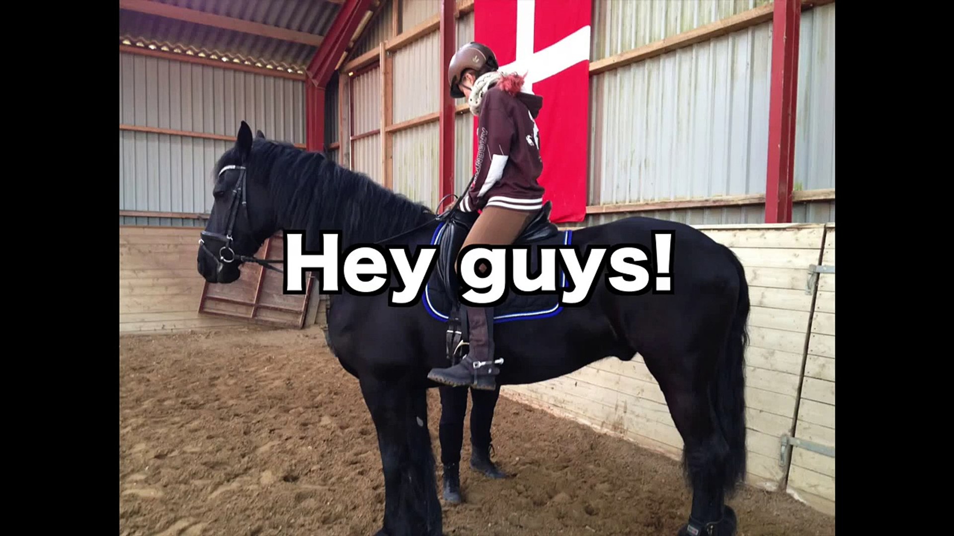 ⁣My first time riding a friesian horse