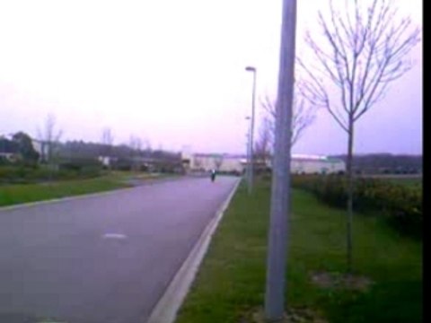 wheeling Alex fazer 600