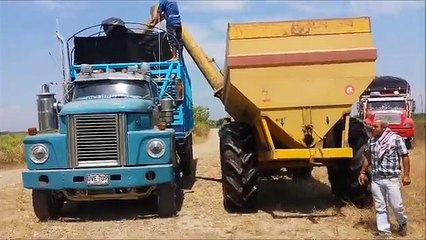 CAMIONES CARGANDO ARROZ EN VILLANUEVA