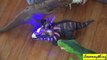 Dinosaur RC Toys  Dinosaur WAR! T Rex VS T Rex VS T Rex VS Triceratops!