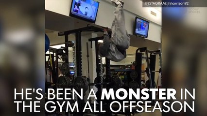 James Harrison deadlifted 500 pounds today, remains a beast