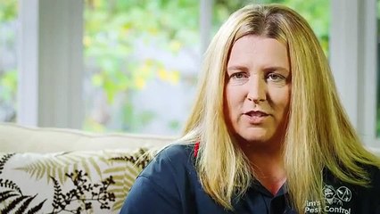 Jim's Pest Control Gold Coast