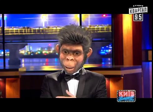 В мире людей - Дмитрий Коляденко. Известные люди в гостях у неизвестных животных