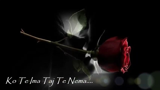 Zvonko Bogdan - Ko Te Ima Taj Te Nema