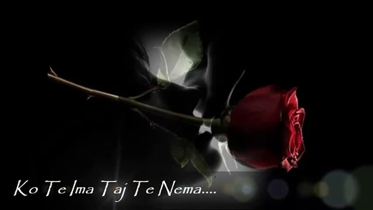 Zvonko Bogdan - Ko Te Ima Taj Te Nema