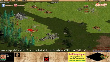 Solo Assyrian - Bầu Pep vs Bầu Bồ Câu Trắng T3