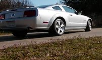 2006 Mustang GT Dyno Run