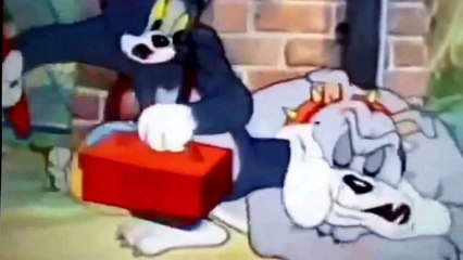 Tom and Jerry Cartoon Fishing Tom and Jerry New Cartoon