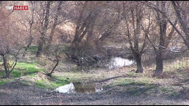 Nefes Alan Topraklar / Ankara