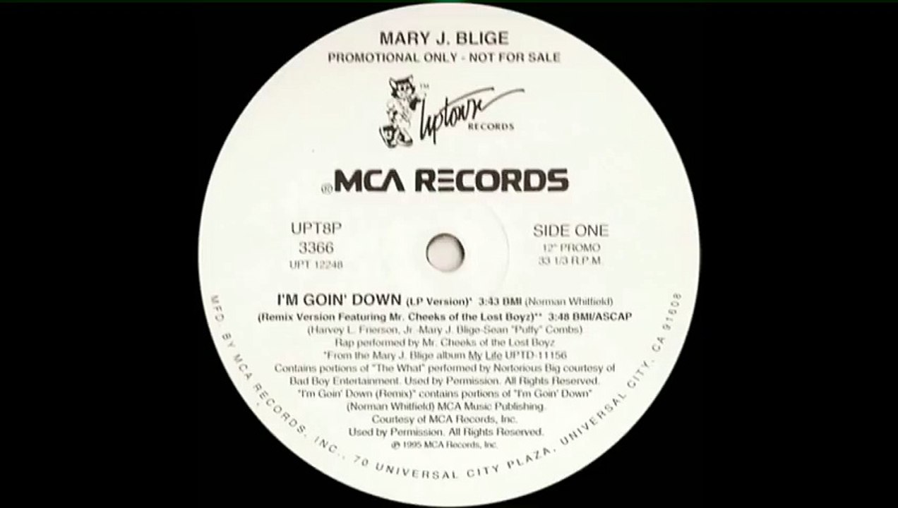 Mary J. Blige - I'm Goin' Down (Remix Version Feat. Mr. Cheeks Of The Lost Boyz)