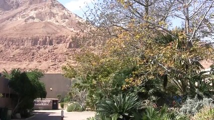 Ein Bokek - Kibbutz Ein Gedi - David's Waterfall one day trip along the coast of the Dead Sea