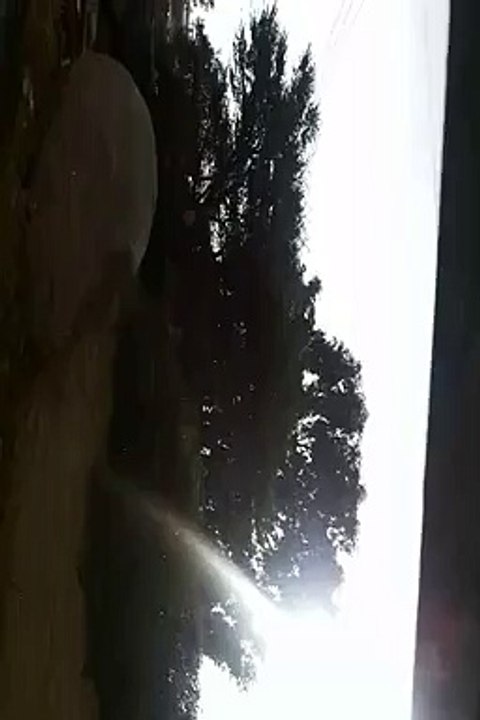 امطاااااااااااااااااااااار