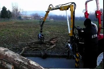 DELEKS Gru forestale - Pinza per legna - Grab - Forestry crane - Forstkran