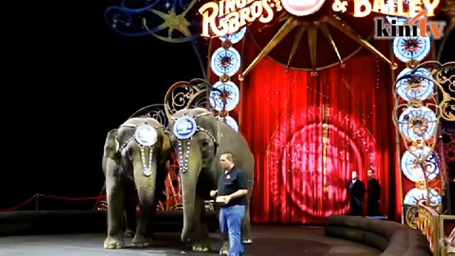 Ringling elephants say goodbye to the circus
