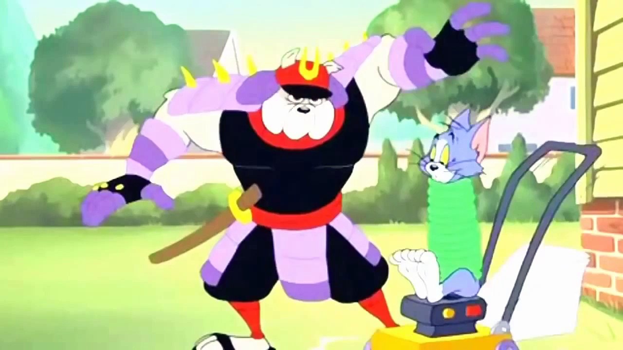 Tom and Jerry Cartoon Karate Guard