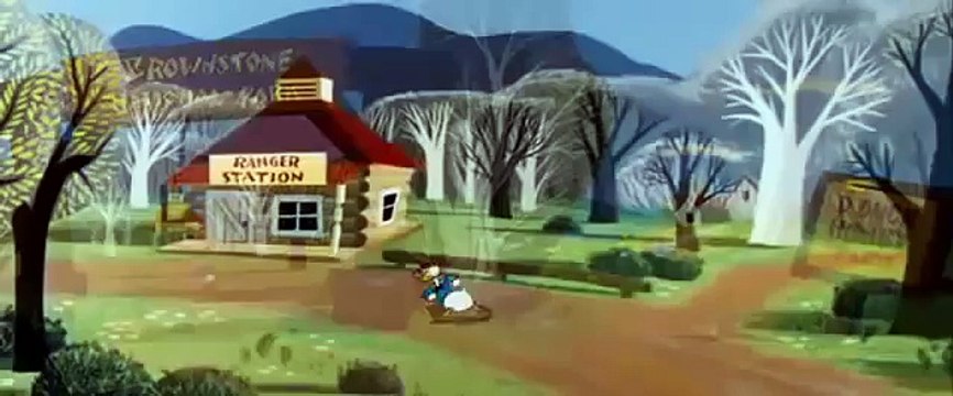 Disney Cartoons Donald Duck Beezy Bear