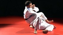 Evolve MMA | What is Brazilian Jiu-Jitsu?