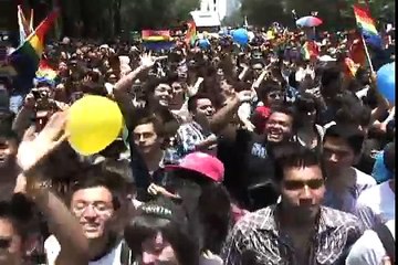 HIBRIDO NIGHT  CLUB ZONA ROSA