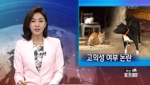 KBS 뉴스광장 - 사냥개 고양이들 물어 죽여... 고의성 논란