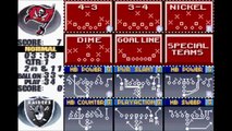Madden NFL 2004 (Game Boy Advance)- Gameplay