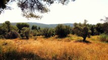 A vendre - terrain - Tourrettes Sur Loup (06140)