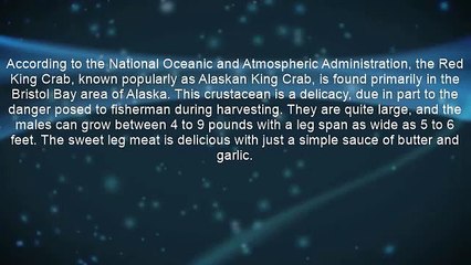 How-To Cook King Crab Legs With Butter And Garlic