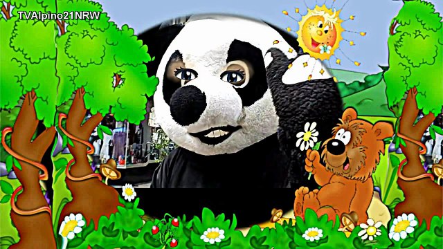 Funny video Noksu Cartoon, very funny video Noksu Cartoon, Noksu Cartoon funny video clips, funny vi