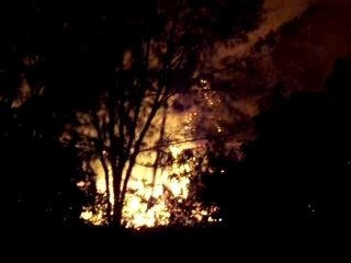 Les filaos s'emflamment