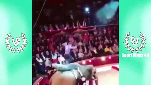 PEOPLE ARE AWESOME - Best Sports Vines Compilation 2015 | People Are Amazing | Sport Vines 4U ✔