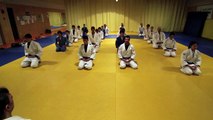 Quelcom - Harlem Shake Judo Andorra