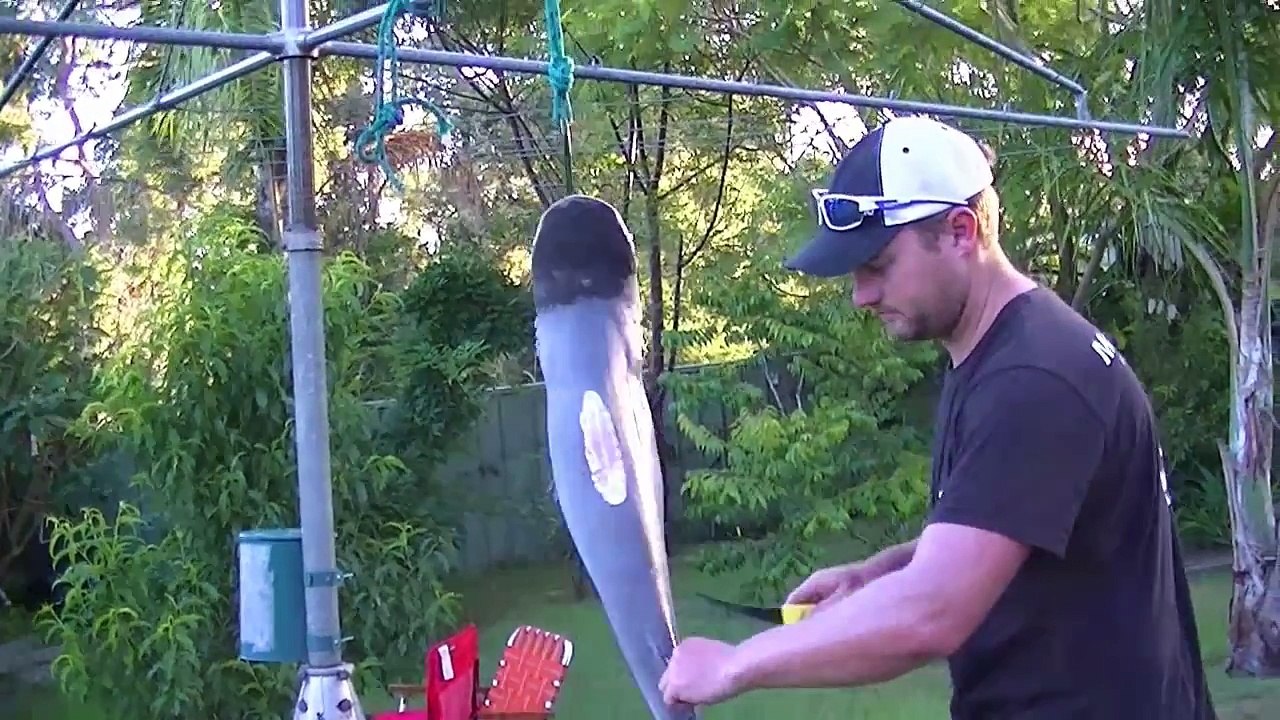 YEP,I'M ON- How to clean a Bull Shark