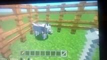 How to tame a horse dog cat on minecraft xbox1 edition