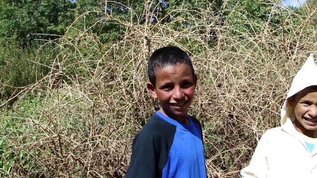 HUMOUR MAROC: jeune Bledar qui essai de parler francais MDR, drole,insolite