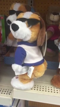 Twerking Dog Toy is really the worst gift...