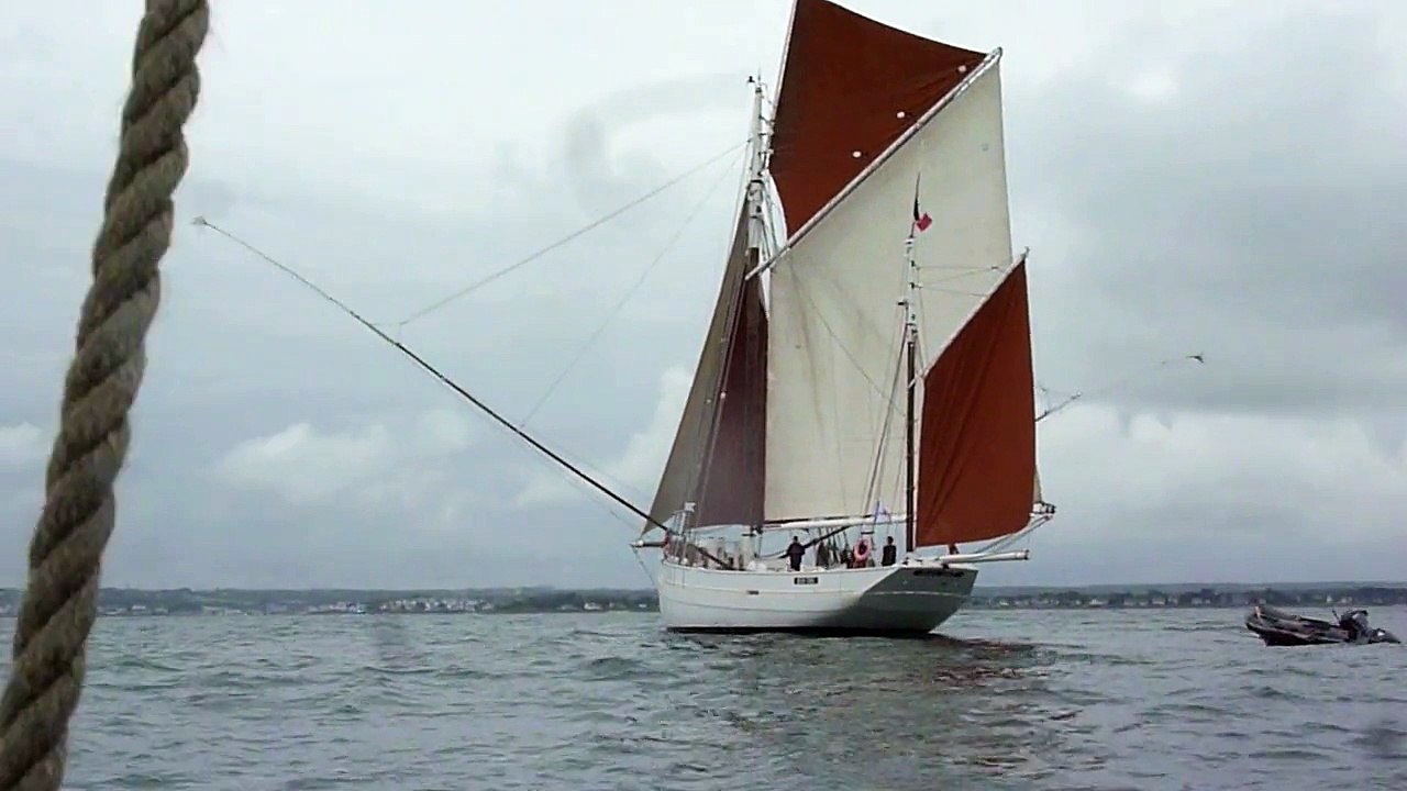 Biche arrivant à CC mardi 28 juillet 2015 Route de l'Amitié