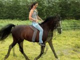 Zomer in Zeeland - Gaby en haar paard Lady