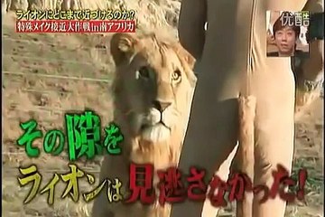 Descargar video: Jeu TV japonais très dangereux - Un homme joue avec des lions