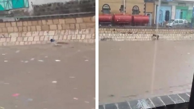 Un homme sauve un enfant de la noyade pendant une inondation