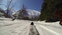 Irish Red and White Setter: Skijoring in Norway