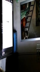 Khoảnh khắc tuyệt vời