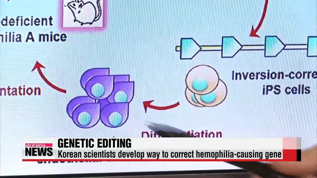 Korean scientists develop way to correct hemophilia-causing gene