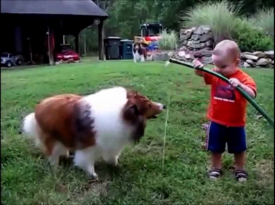 Funny Baby and dog