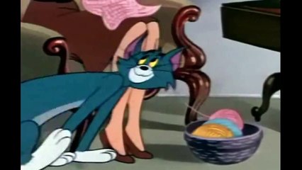 Tom and Jerry Cartoon 088 Pet Peeve 1954 HD