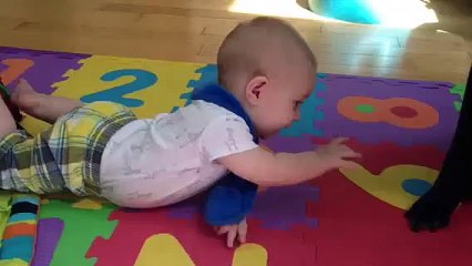 When babies attack dogs